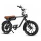 750W Fat Tire Electric Bicycle 48V 17Ah Battery Electric Bikes With Front Suspension