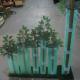 PP Corrugated Plastic Tree Guard Corflute Sustainable Tree Guards