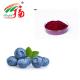 100% Natural Bilberry Anthocyanin Extract Powder In Food Supplement