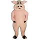 Hog mascot costume,Plush animal costumes,Advertising mascot costume,Custom costume