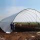 Blueberry PE Film Poly Tunnel Greenhouse Anti Ultraviolet