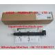 DELPHI Common rail injector New number: 28489548 , 25195089 Old number: 28264951 , 25183186