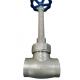 DN40 Cryogenic Globe Valve In Petroleum Chemical Industry