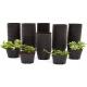 Small Drain Holes Horticultural Plant Pots Modern Bonsai Plastic Dumpy Plants