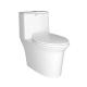 Toilet Bathroom S-Tray 300mm Siphonic Ceramic One Piece Toilet Water Tank Flush Closestool