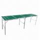 Picnic Table with Table Tennis Net