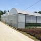 Durable Multi-Span Polytunnel Greenhouse Heavy-Duty Steel Wind Snow Resistance Commercial Farms Nurseries