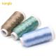 100g Weight 120D/2 Polyester Embroidery Thread 4000 Yards for Cross Stitch Machine