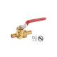Pex X Pex Ball Valve With Drain Plain Or Bronze Coating WOG For Pipe Connection Port1/2”-1”(600WOG,150WSP)
