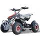 49cc 2-Stroke Mini ATV for Kids