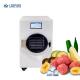 750W Vacuum Freeze Dryer Food Drying Lyophilizer Machine 50hz For Home