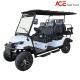8 - 9 Hours Charging Time Electric Golf Cart With Sun Canopy Leather Fabric