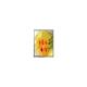 320*240 QVGA 3.5inch screen Digital Video Camera Panel A035QN02 V3 Portable Navigation display