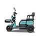 Convenient Leisure Electric Tricycle 600W Leisure Tricycle Electric Bike