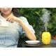 Lemonr mist humidifier novelty gifts air purifier humidifier, ultrasonic cool