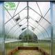 UV Protection Polycarbonate Tunnel Greenhouse	Vegetable Farming