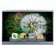 Android 11 IR Interactive Whiteboard 65 75 86 inch YL Series Flat Panel Display USB Port OTA Multi Touch Points For Kids