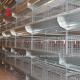 450cm2 H Type Automatic Chicken Battery Cage System With Feeder Adela