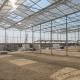 Low Cost Polycarbonate Sheet Greenhouse For Bananas Cucumber Tomatoes Lettuce