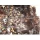 Very soft best quality. Very clean, no any lice or nits natural wave virgin malaysian hair