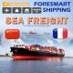 China To France International Ocean Freight Shipping