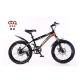 Customized Disc Brake 20 Inch MTB Mountain Bicycles 21 Speed