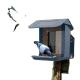 Solar Powered Digital Bird Feeder Camera 135 Degrees Viewable Range For Outdoor