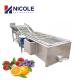 SUS 304 Electric Vegetable And Fruit Cleaner Machine Commercial Belt Type