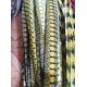 Carinval Costumes Decoration Fake Lady Amherst Pheasant Feather