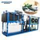 5000kg Ice Storage Capacity Direct Cooling Ice Block Maker Machine for Industrial