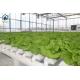 NFT Hydroponic Grow Pipe System For Lettuce And Herbs With Hydroponic NFT Pipe