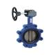 Stainless Steel Wafer Butterfly Valve Fluorine Rubber Ring Manual Handle Butterfly Valve