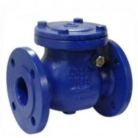 Swing Check Valve 6 Inch 1500lb Bolted Bonnet Flange Check Valve