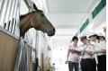 Release Race Horses for Asian Games Test Events (with photo)