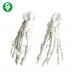Foot Human Joints Model White Color Medical School Teachers Support Durable