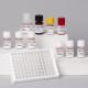 Anti Mullerian Hormone Elisa AMH Test Kit Plasma Amh Elisa Test