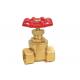 CE Brass Water Fountain Equipment Fountain Gate Valve SS304 NPT Female Thread