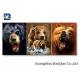 3d Effect Lenticular Image / Poster With White Mdp Frame , Free Sample Cat Animal Picture