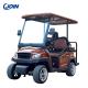 Permanent Custom Golf Cart Seat 2N1 Electric Golf Buggy 2 Seater