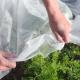Nontoxic Crop Protection Cover Durable , Biodegradable Garden Fleece For Plants