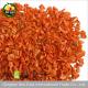 EU standard ISO certified Dried Carrot Flakes AD carrot granule