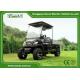 14 Inch Tires Hunting Utility Electric Golf Buggies With Cargo Box