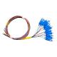 1310nm UPC Fiber Pigtail SC , OD 0.9mm Fiber Cable Pigtail 12 Core