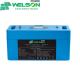 300 Amp Hour Deep Cycle Battery 300ah 100AH 6v RV Golf Cart Lithium Ion Replacement