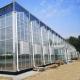 Customized Request for Drip Irrigation Glass Greenhouse Commercial Greenhouse Setup