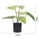 Artificial Small Green Potted Plants 32cm High 37cm Wide Evergreen Table Plants