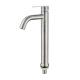 304 Stainless Steel Wall Mounted Kitchen Sink Tap with Modern Style and Hot/Cold Water