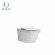 Exquisite Dual Flush Wall Hung Commode Hotel Concealed Cistern WC No Stains