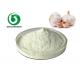 White Powder Natural Garlic Extract Allicin 10% Protect Liver HPLC UV Test