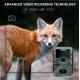 Wildlife Monitoring Camera Night Vision 0.1s Capture Speed  32MP 4K Hunting Camera Waterproof IP67 Animal Observation Camera